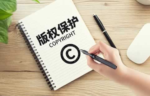 软件版权保护包括什么？